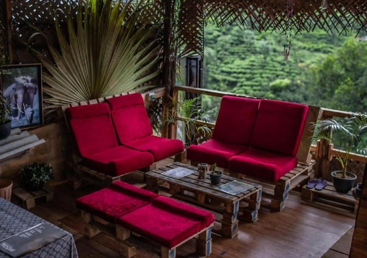 Tree House Cafe Ellaホステル エクステリア 写真