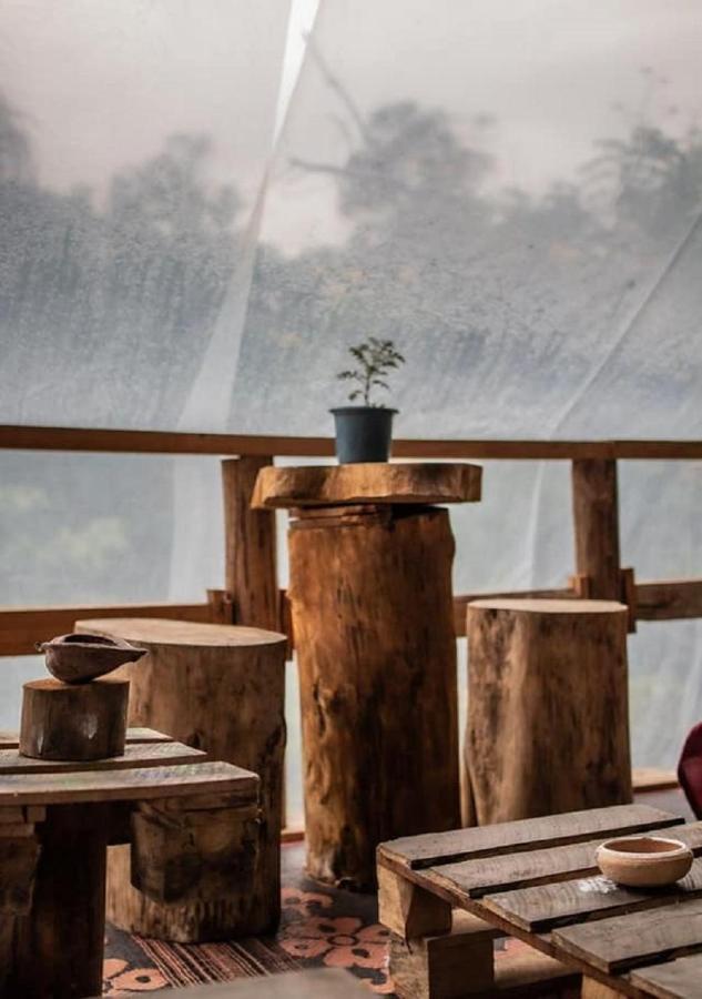 Tree House Cafe Ellaホステル エクステリア 写真