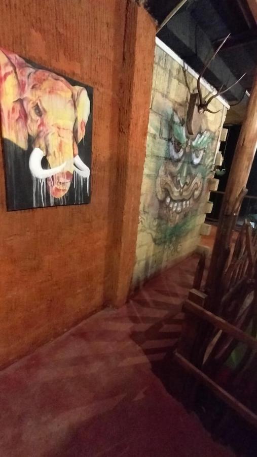 Tree House Cafe Ellaホステル エクステリア 写真